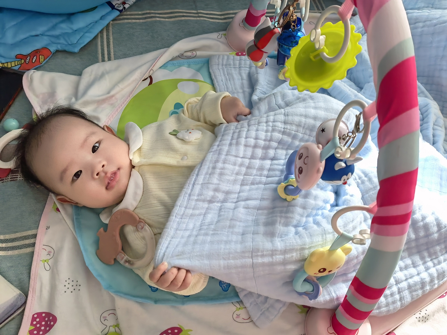 2024-11-29 16-48-58.980.jpg